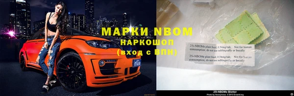 шишки Бородино