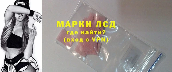 шишки Бородино
