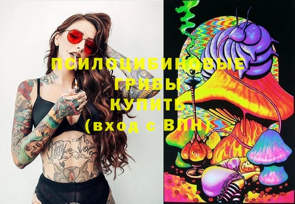 шишки Бородино