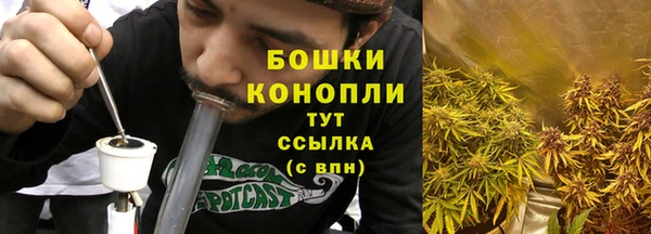 шишки Бородино