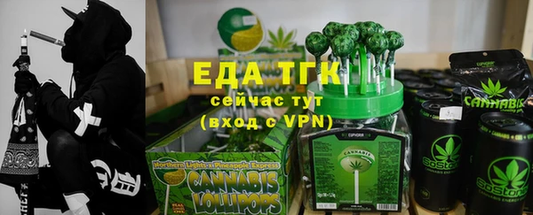 шишки Бородино