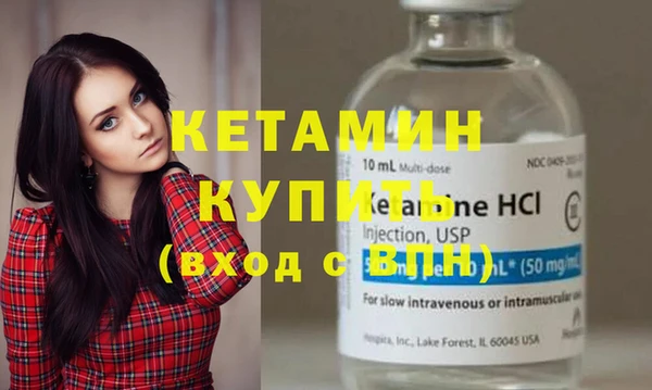 шишки Бородино
