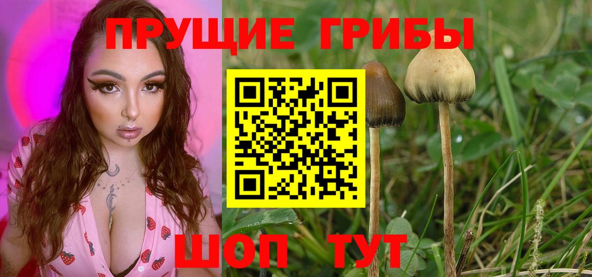 ГАШ  Канабис  COCAIN  Выкса  Меф кристаллы  Конопля  ГАШ  А ПВП СК кристаллы  АМФЕТАМИН кристаллы  НБОМе 