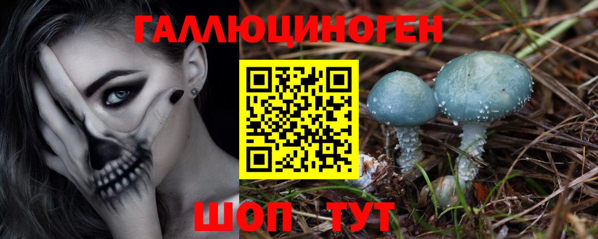 Галлюциногенные грибы Cubensis  Вход с VPN  Выкса  Галлюциногенные грибы Psilocybe 